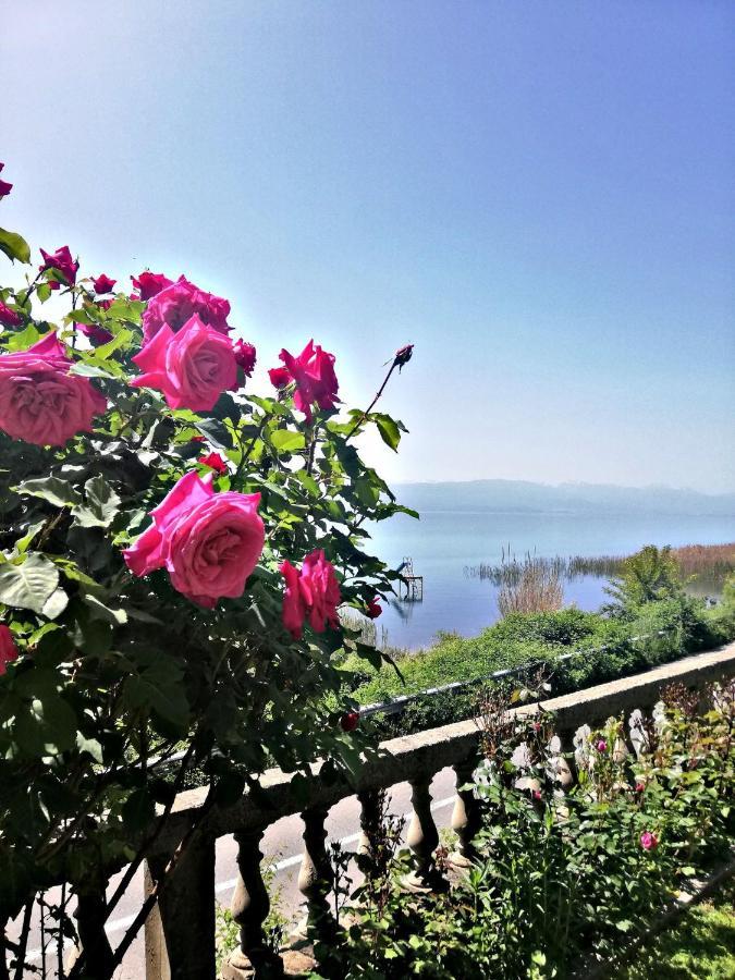 Villa Stefan Ohrid Exterior photo