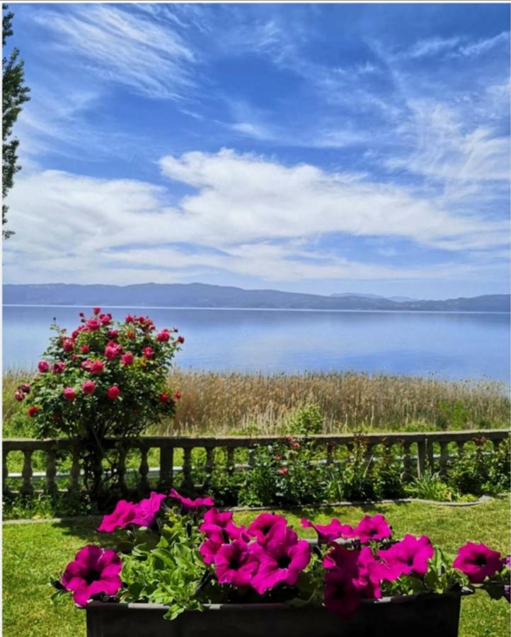 Villa Stefan Ohrid Exterior photo